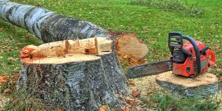 Best Tree Mulching  in Georgiana, AL